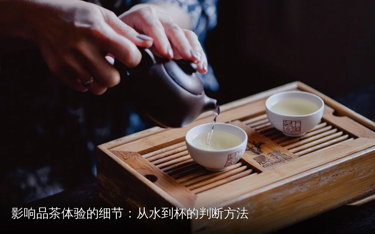 影响品茶体验的细节:从水到杯的判断方法